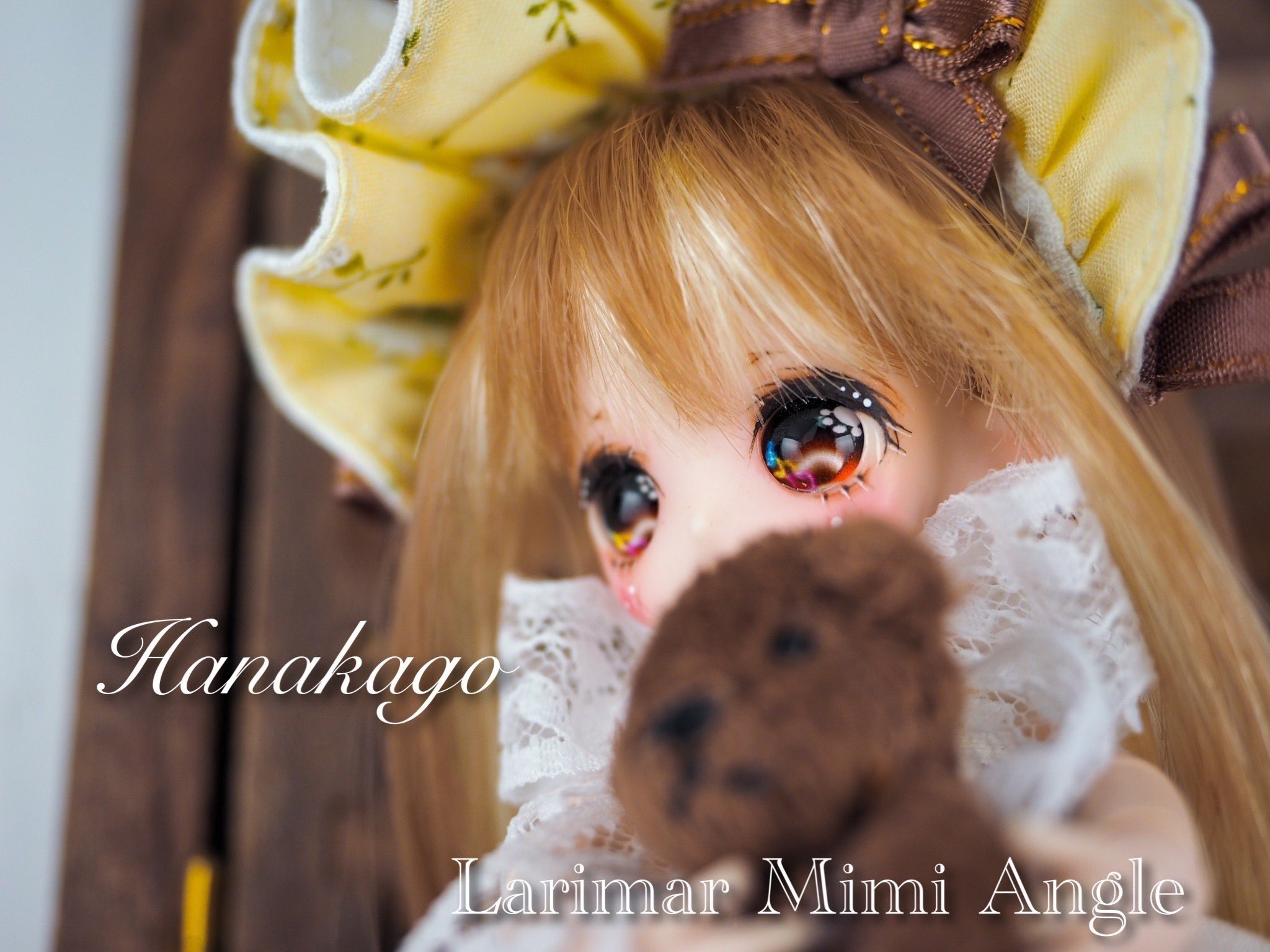 ピグミー・S サニー 1/12 花かごの小部屋 様メイク