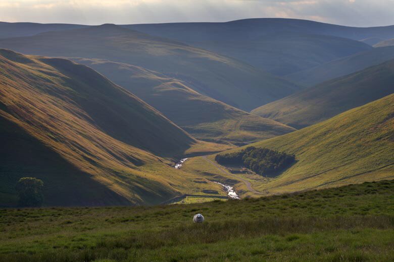 EPERiley's tweet photo. @rowena_kay Actually, I have changed my mind. It's #Barrowburn. Just stunning. #Northumberland https://t.co/1lqOix8Ejc