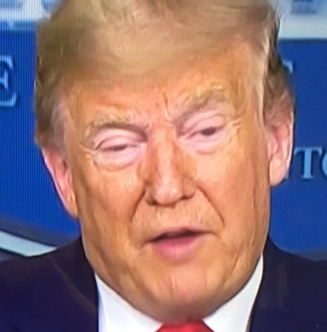 SDBurgher's tweet photo. @TeachEsp @BillKristol Hereโs a more realistic picture of the diseased #MaggotInChief... https://t.co/onJcyFpyGD