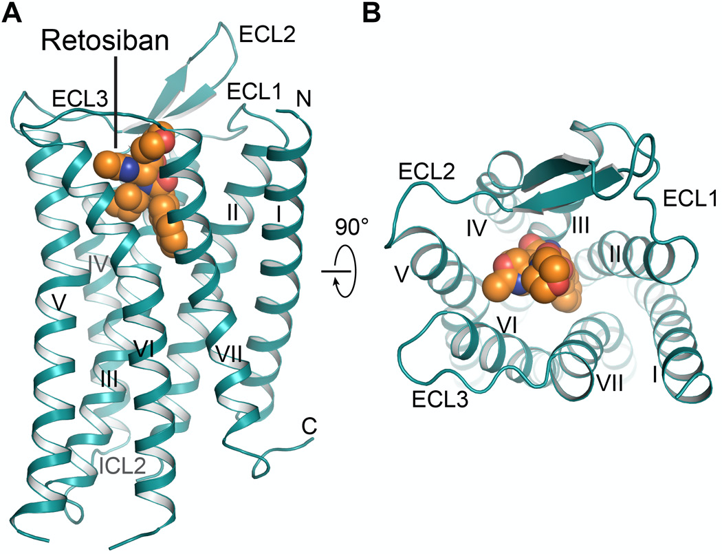 jendr1k's tweet photo. Better late than never: We are happy to present the crystal structure of the human oxytocin receptor #GPCR in complex with the antagonist retosiban! Full story: https://t.co/1UbH4eRaRp (1/3) https://t.co/jA3Rn7hMUV