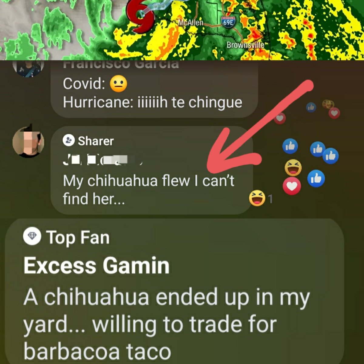 QueenWhisker's tweet photo. Only in the valley. #RGV #HurricaneHanna #onlyinthevalley #puro956 https://t.co/nYxLIQYuIb