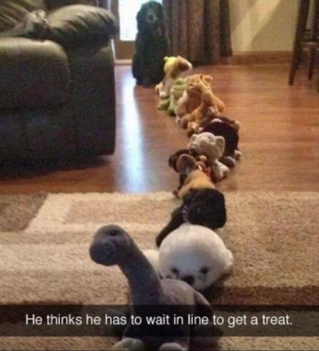 WholesomeMeme's tweet photo. https://t.co/SZZEwzKzNh