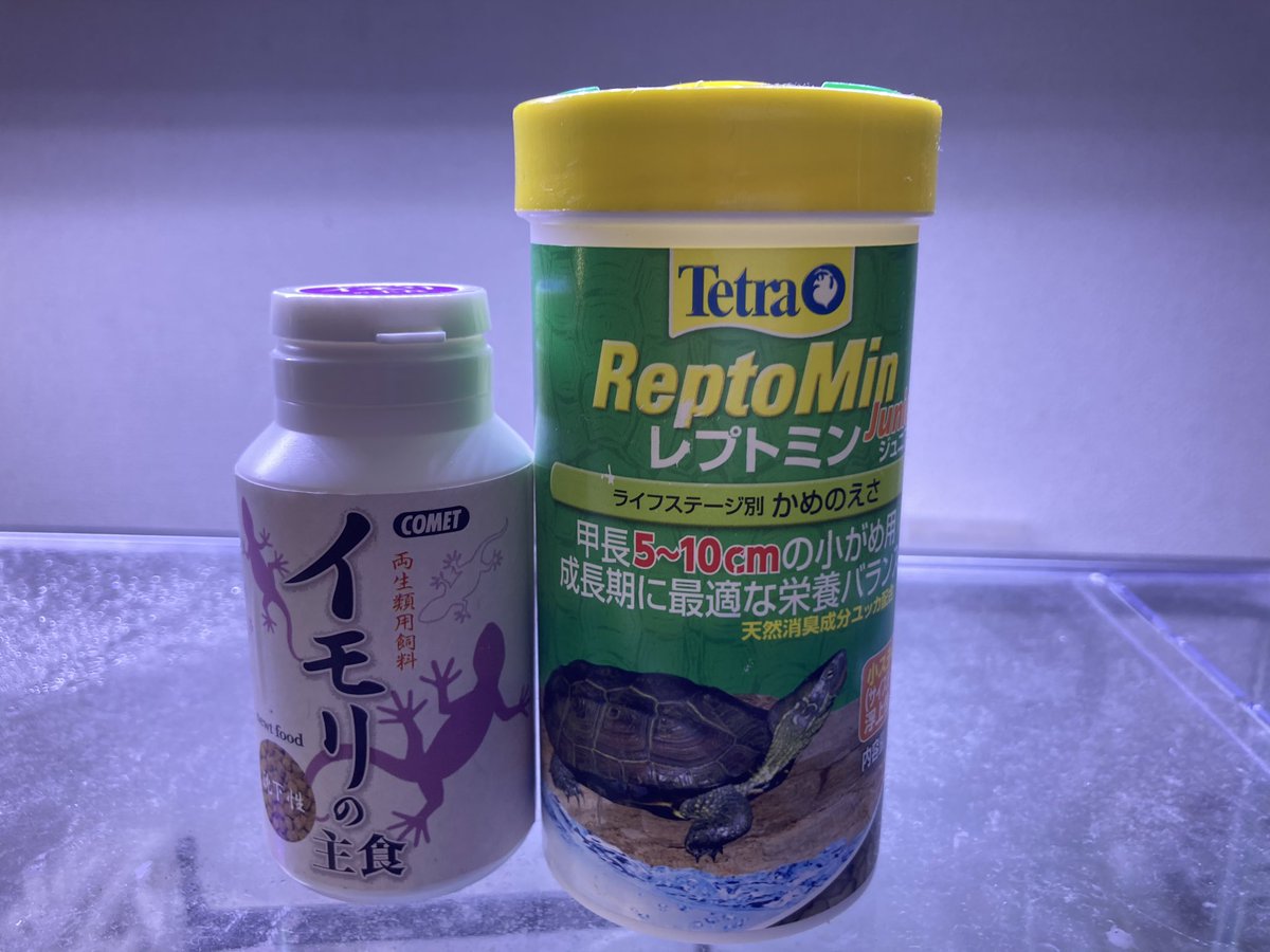 Akaharado's tweet photo. 因みに餌はこの2つをメインに与えています。冷凍赤虫は成体を落とした経験があるので、最初の餌付け以外は使わないようにしています…。 https://t.co/2SMFgLOhut