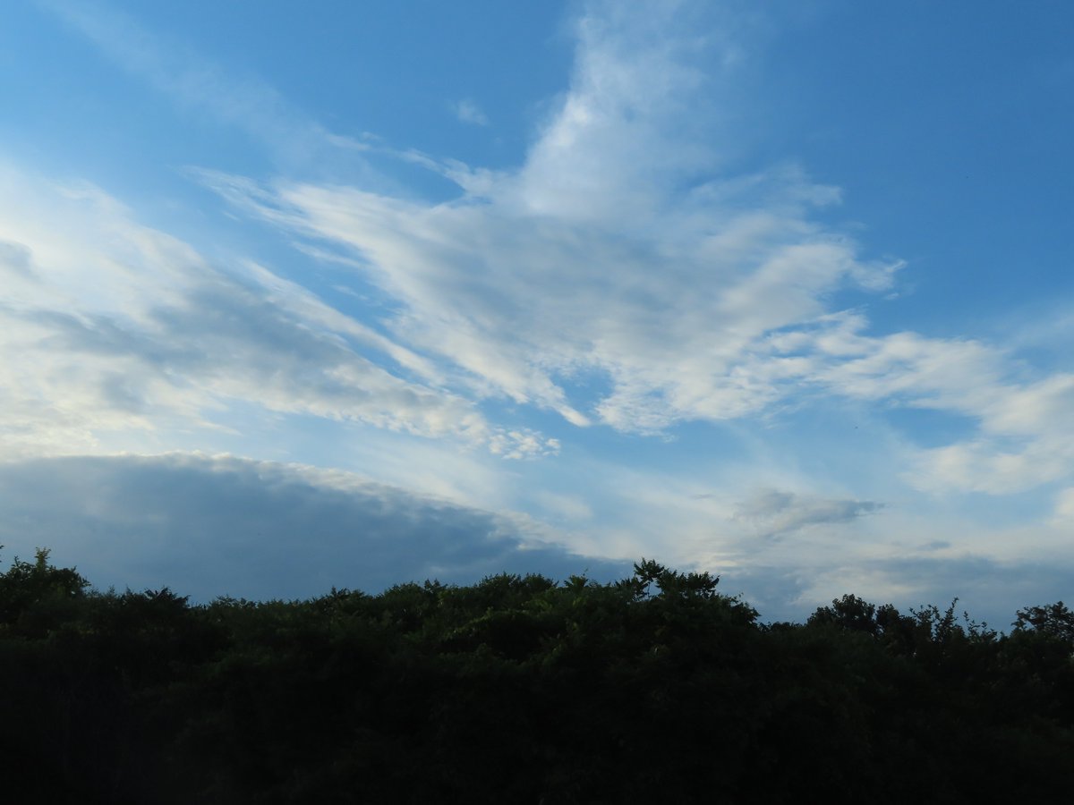 PLKlein_Author's tweet photo. "Who would set a limit to the mind of man? Who would dare assert that we know all there is to be known?" ~ #Galileo #ThinkBIGSundayWithMarsha #QuickQuotes #ThinkingOutLoud #SundayMotivation #SundayThoughts #Limit #MindOfMan #Know #AllThereIsToKnow https://t.co/W3D0KG8FYJ