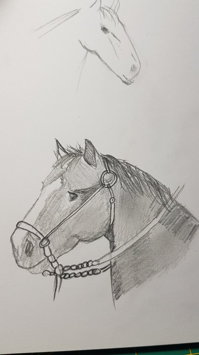 hanny 🐴🍝 tweet media