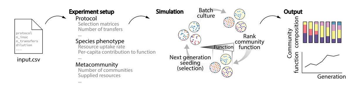 So we developed a python package Ecoprospector (based on community-simulator) that allows us to probe any arbitrary set of parameters of selection protocols. 4/11