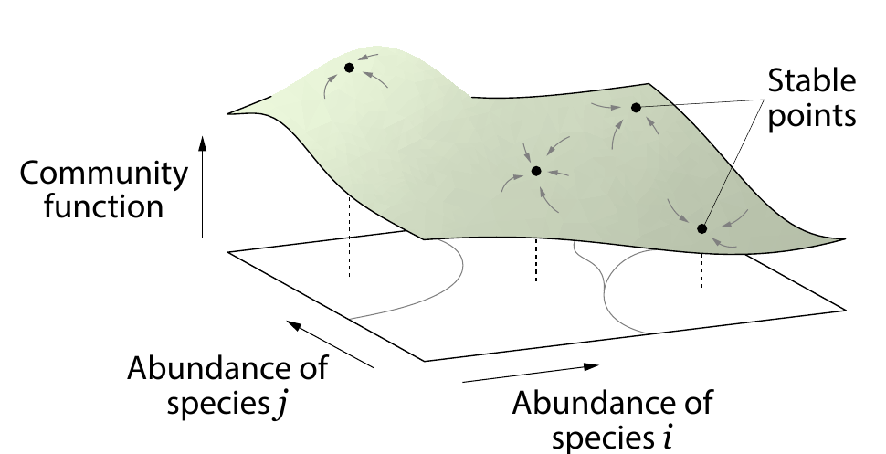 Inspired by using directed evolution of biomolecules to navigate fitness landscape, we considered directed evolution of microbial communities as navigating in an "ecological structure-function landscape" that maps the community composition to its function. 5/11