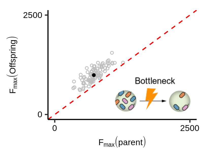 How to perturb a community? You can either remove or add species, single one or in bulk. In all cases we successfully improve the Fmax (the best of 96 communities in a selection line), relative to no-selection control. 7/11