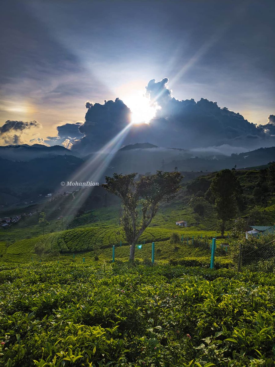 tweetKishorec's tweet photo. Beautiful Nilgiris Pc - MohanDion https://t.co/obrJuVZQCh