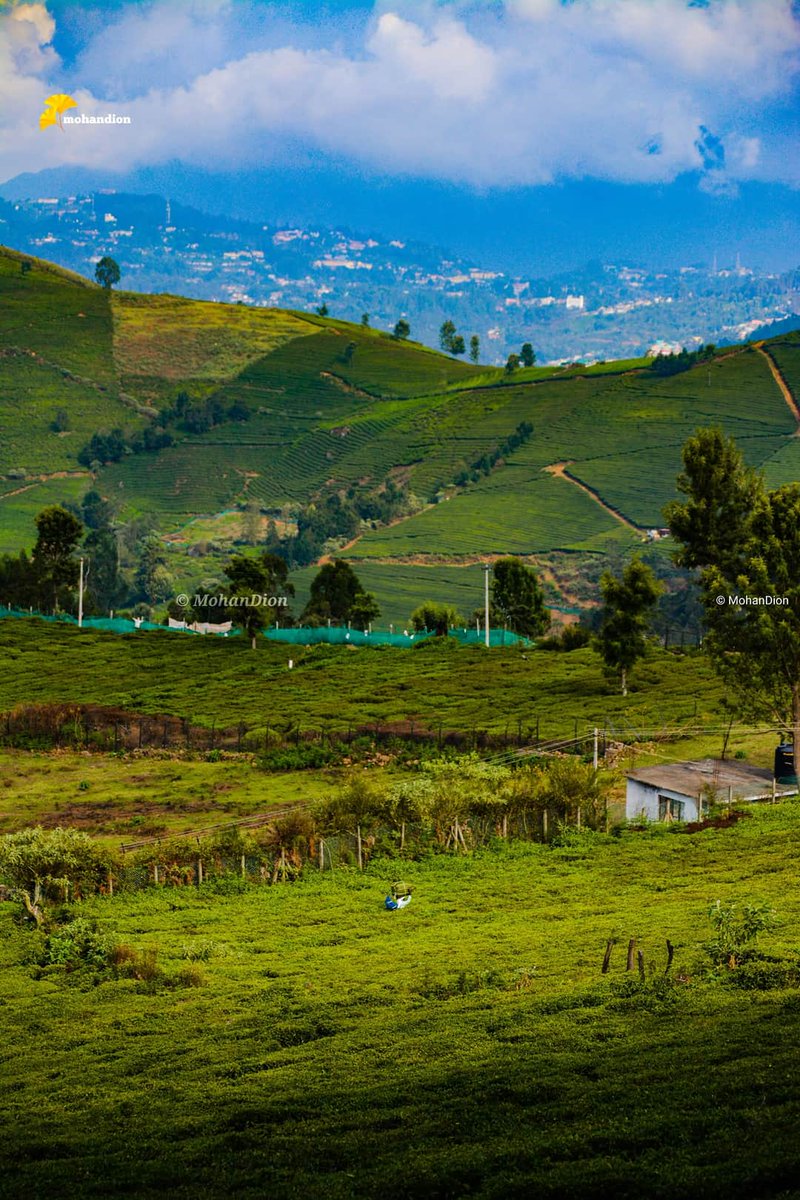 tweetKishorec's tweet photo. Beautiful Nilgiris Pc - MohanDion https://t.co/obrJuVZQCh