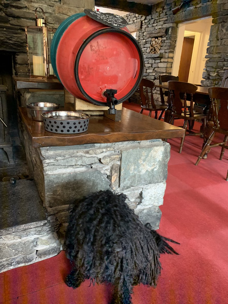 Skelwith_Bridge's tweet photo. #Puli #LakeDistrict #DogGrog @JenningsBrewery @LoveAmbleside @NotJustLakes @lakedistrictnpa @heightsfarmHQ @dogfriendlylake @ChrisGPackham 🐾🐾🐾🐾 https://t.co/UB5k8HYpg5