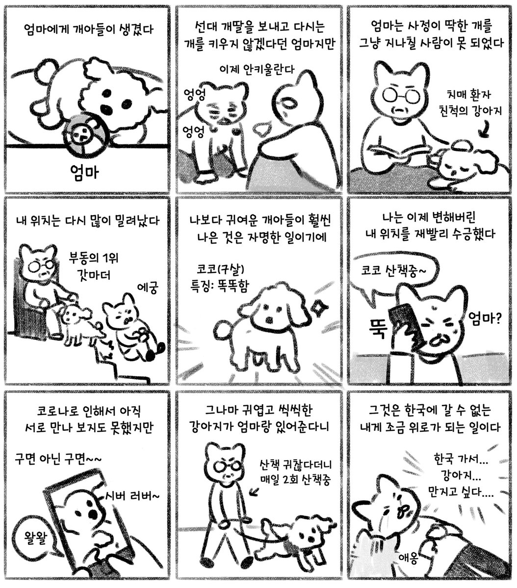 애옹 tweet media