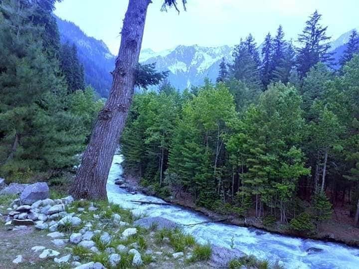 amirzadaafridi1's tweet photo. حکـــمرانوں ‼ اللہ سے ڈرو کب تک ہماری نسلوں کوتباہ و برباد کروگے،ہمیں انٹرنیٹ تھری جی فورجی کی سہولت دیجیئے.
#InternetForExFATA https://t.co/I0eB5dTcWz