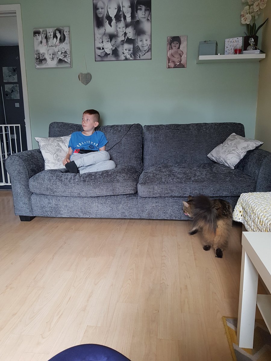jenny4Just1's tweet photo. @Argos_Online received my new sofa and chair today ,great friendly guys that delivered it very helpful,  sofa is comfy and I'm very pleased with it https://t.co/ywEGr3kayR