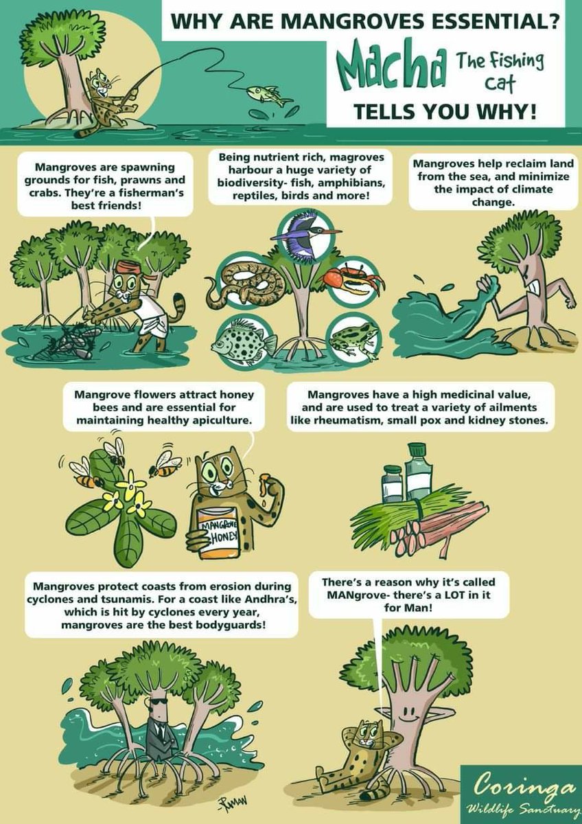 The activities of the Andhra Pradesh Forest Department aim towards the restoration of mangrove ecosystem. It's not limited to plantation only but involves landscape approach with the involvement of all stakeholders and ensuring awareness generation too.