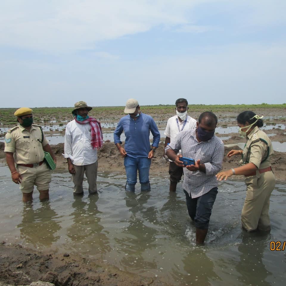 I have been fortunate enough to put my efforts towards mangrove ecosystem restoration. The support from field staff and the locals has been crucial in attempting such works.
