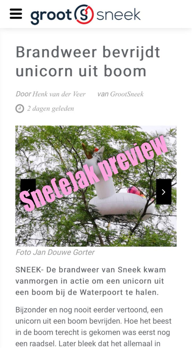 Onze collega’s in Friesland hadden wel een hele bijzondere melding.. benieuwd?! Blijf onze social media volgen! grootsneek.nl/grootsneek/alg… #Brandweer #rozeinrood #diversiteit #prideamsterdam #pride #brandweernederland