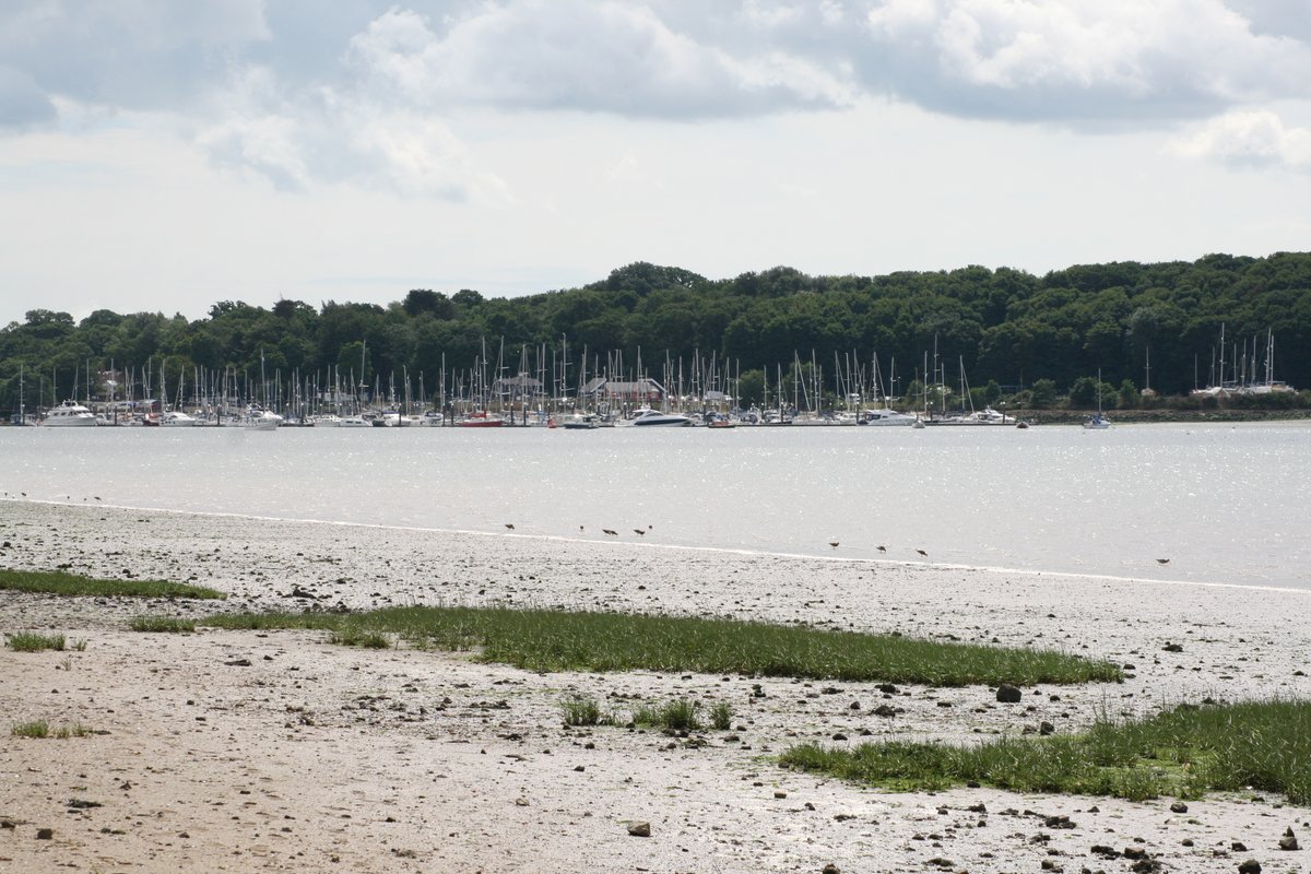 Geates's tweet photo. Two of the icons of the River Orwell seen from the Nacton Foreshore this morning. Perfect day @OrwellLady and Freston Tower. More pictures here: https://t.co/jKyi5HU8re? https://t.co/kAV0P0o4sP