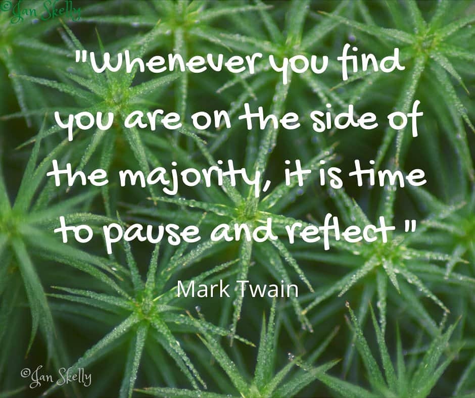 Pause and reflect #sundayvibes #SundayThoughts #quote #marktwain #inspiration #quoteoftheday #naturelover #photographer