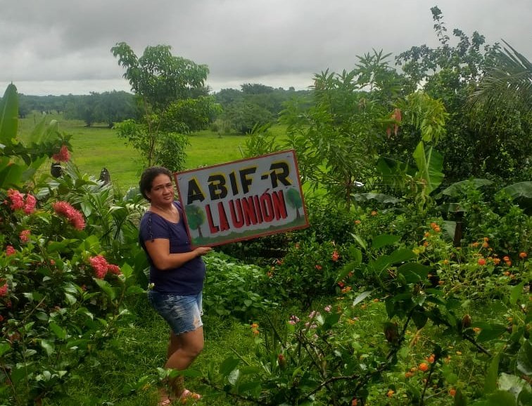 PnudColombia's tweet photo. En Mojana, 218 👨‍👩‍👧‍👦 de comunidades rurales nos enseñan cómo se adaptan al #CambioClimático en medio de la crisis del #COVID19. Con agroecosistemas y filtros para tener agua segura fortalecen su resiliencia y se preparan para el futuro. Conoce su historia 👉 https://t.co/Fc9gNDnvu4 https://t.co/lmFvsXYlD2
