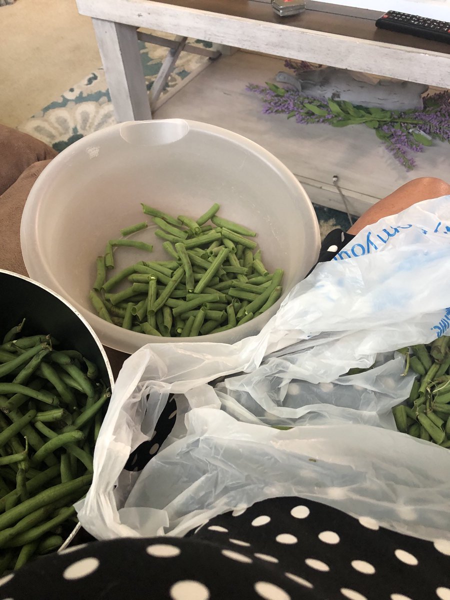 metalfabgirl's tweet photo. My Sunday morning
#StringingBeans https://t.co/7UnsiUkOte