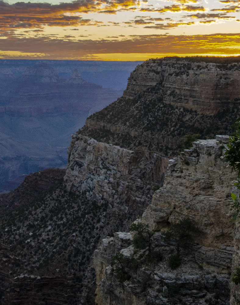 GrandCanyonNPS's tweet photo. Good Morning from Grand Canyon National Park on this Sunday, July 26, 2020. We're expecting a 10% chance of showers and thunderstorms after 11 am. It will be mostly sunny today, with a high on the South Rim of near 83° (28° C)  https://t.co/ov6IIOP8XQ #Arizona #RightNow https://t.co/6SCSt76MdM