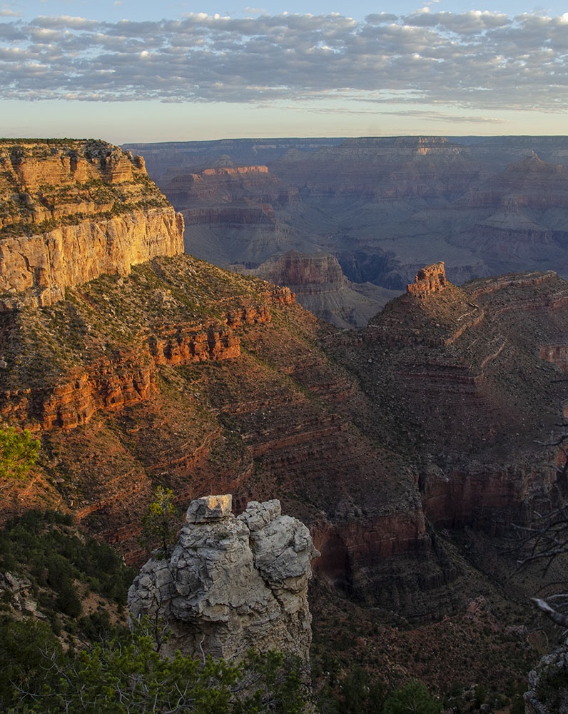GrandCanyonNPS's tweet photo. Good Morning from Grand Canyon National Park on this Sunday, July 26, 2020. We're expecting a 10% chance of showers and thunderstorms after 11 am. It will be mostly sunny today, with a high on the South Rim of near 83° (28° C)  https://t.co/ov6IIOP8XQ #Arizona #RightNow https://t.co/6SCSt76MdM