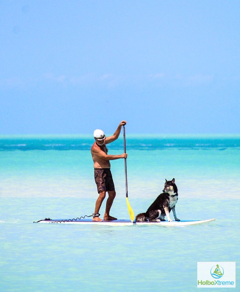 Ayúdanos con tu voto a esta fotografía tomada en Holbox en el concurso de:
supconnect.com/photo-contest-…