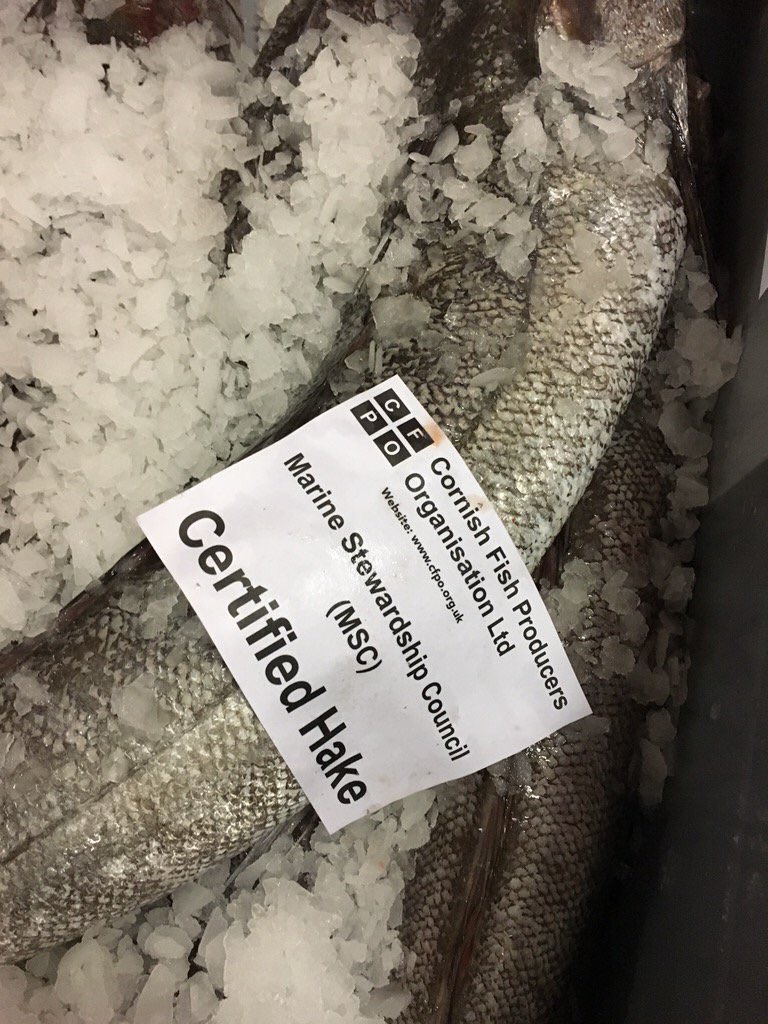 NewlynFishing's tweet photo. Be Warned You #CornishHAKE out there Hiding in the #CelticSea ‘Your Worst Nightmare is on his way’ as the #HakeMan @Alan_J_Dwan is heading your way as ‘Relief Skipper’ of @GovenekOfLadram intent on Putting @MSCintheUK #CornishHAKE onto #ResturantTables &amp; #Fishmongers Trays! https://t.co/c40c9xFBUG