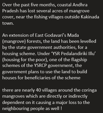 ffftelangana's tweet photo. #climatestrikeonline #climatechangeisreal
#savemangrovesofAndhrapradesh
#savemangrovesofkakinada
#savemangroves
#SaveCoringa #SaveCRZlands
#saynotourbanization
#savemangrovesofvishakapatnam https://t.co/Q2Gs4funCC