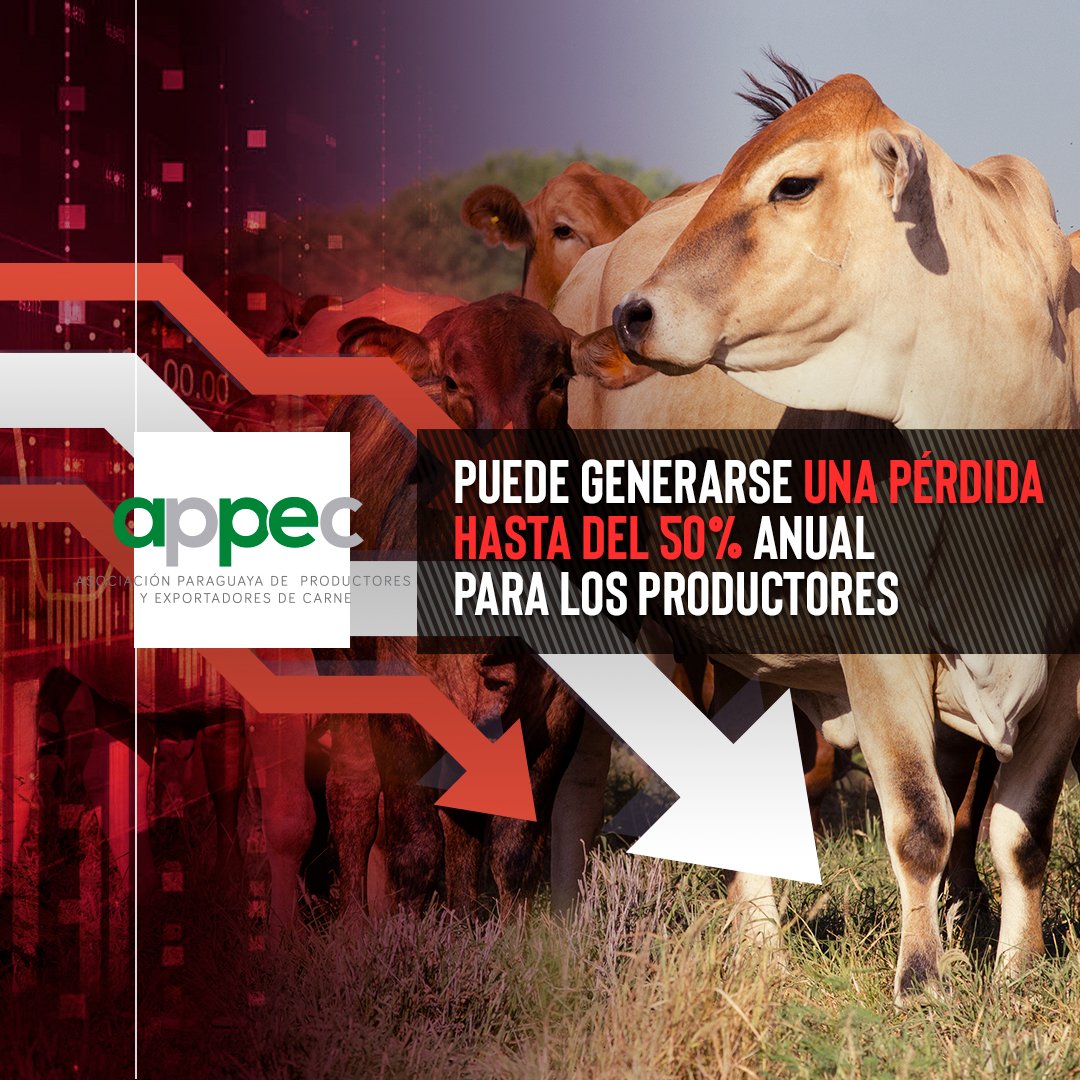 La exportación de carne paraguaya genera un ingreso promedio de 1.300-1.400 millones de dólares anualmente a los productores de nuestro país. Si seguimos comercializando bajo las condiciones actuales, podrá generarse una pérdida de 500 a 600 millones de dólares.