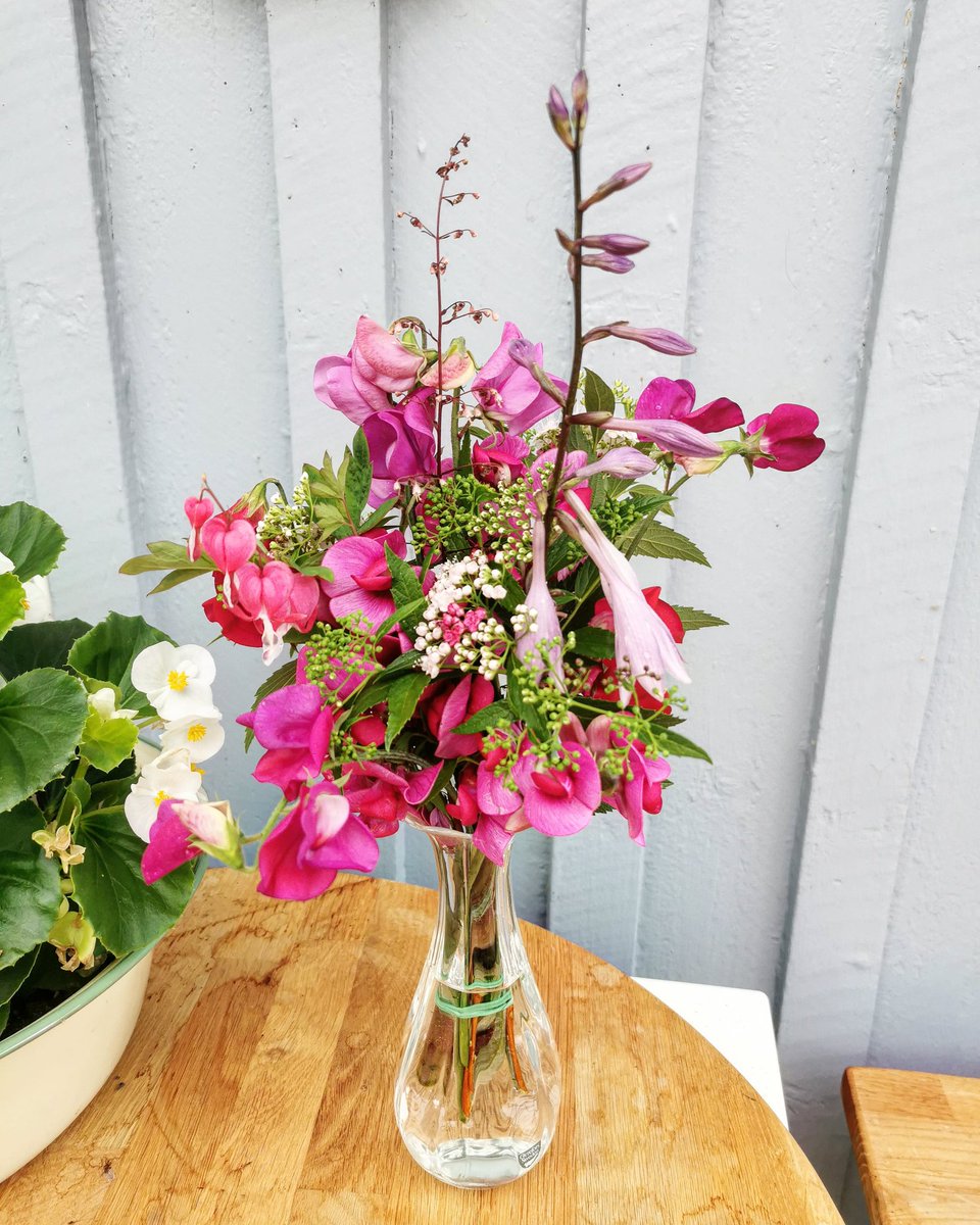 Luktärtor! Doften!
Luktärt, hyacint och vresros är de godaste dofterna!