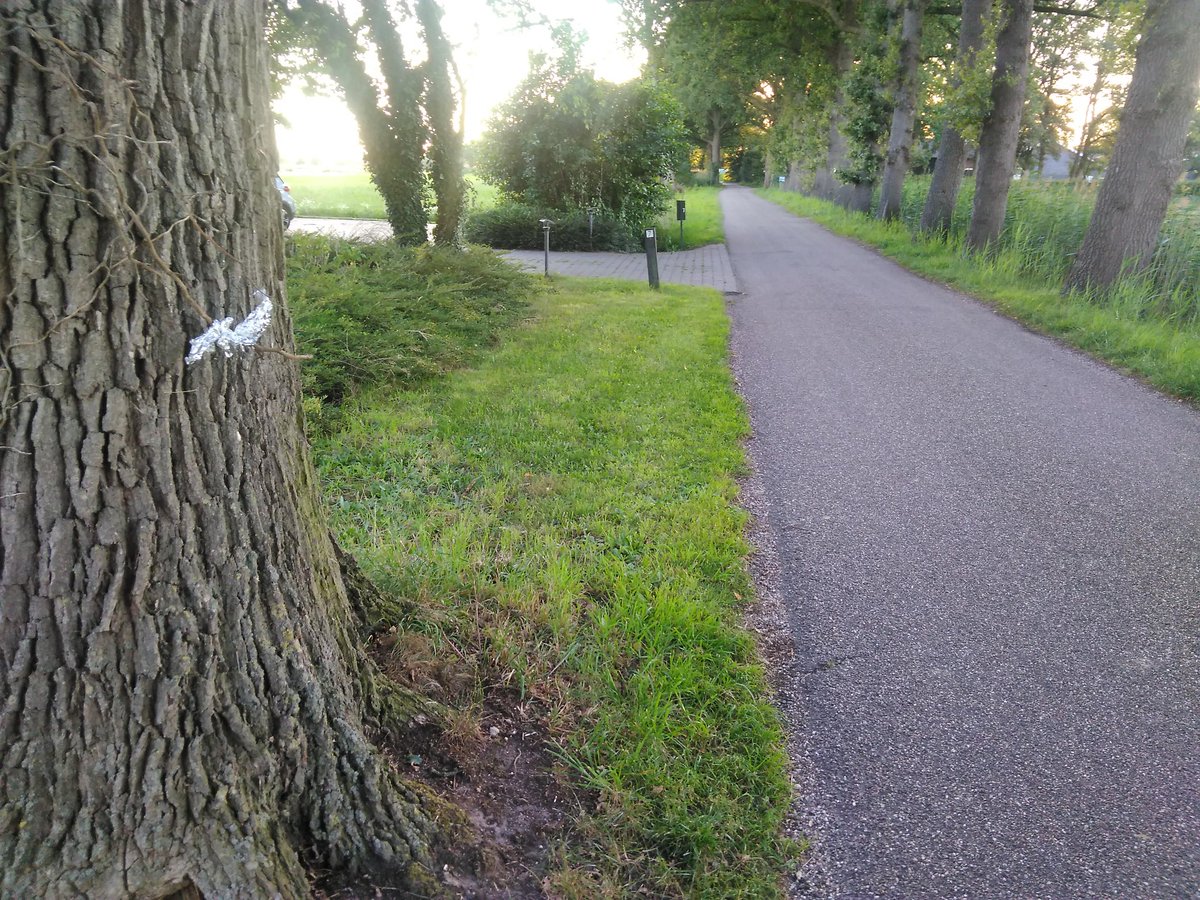 toonhulshof's tweet photo. Wil diegene die een speurtocht heeft uitgezet met behulp van plukken aluminiumfolie in bomen en struiken (langs o.a. de Tankweg en Eefselerweg in Lievelde) dit ook weer weghalen!
Als iedereen zo zijn rommel laat liggen wordt het een bende in het buitengebied..
@Gem_OostGelre https://t.co/9XAy8VxV5f