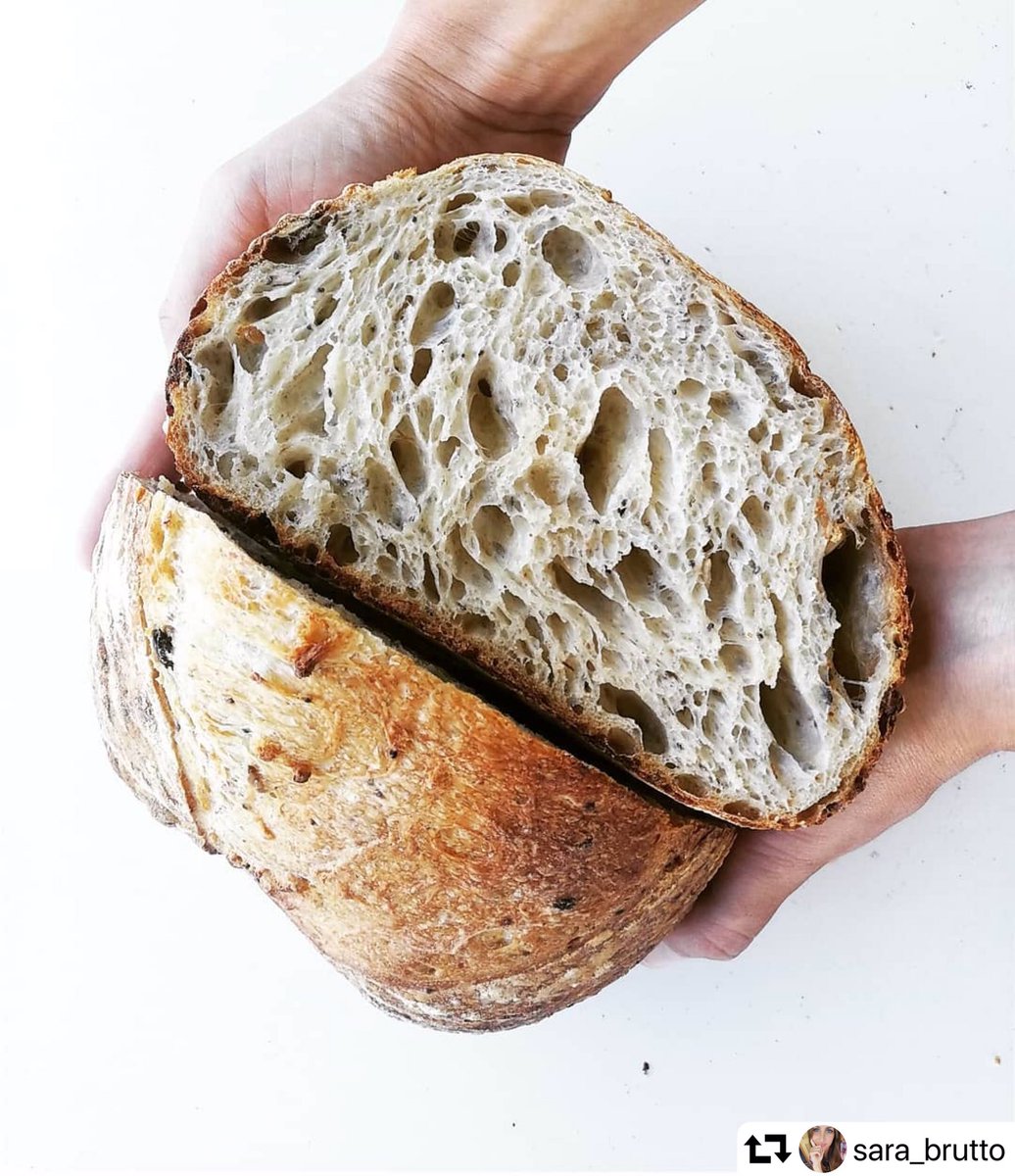 parma_food's tweet photo. repost @ sara_brutto
Pane di grani antichi di Parma.
#pane #paneconlievitomadre #bread #breadbaking #breadmaster #parmafoodlovers #lievitomadre #lievitazione #levainbread #levain #graniantichi #macinataapietra #graniantichidiparma #parma #parmafood #foodart #breadartist https://t.co/cwqTDUMFlX