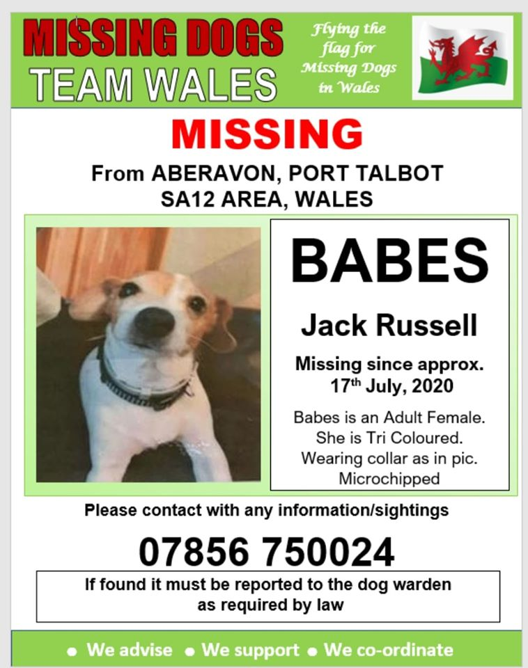 gelert01's tweet photo. #BABES missing 17/07/2020 ish maybe earlier as Disabled owner has difficulty remembering dates. #ABERAVON #SA12 area #SouthWales
#BABES two collars on at time as seen in poster pic #IamMissing #Chipped
@rosiedoc666 @KarenFi51820768 @veryluckypugs @RachaelB100 @ChrstinaKelly https://t.co/1ZJh8z9756