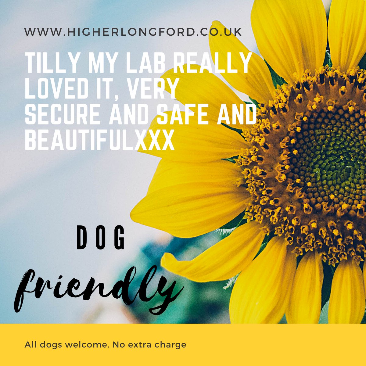 higherlongford's tweet photo. https://t.co/9iBsXN7K2n