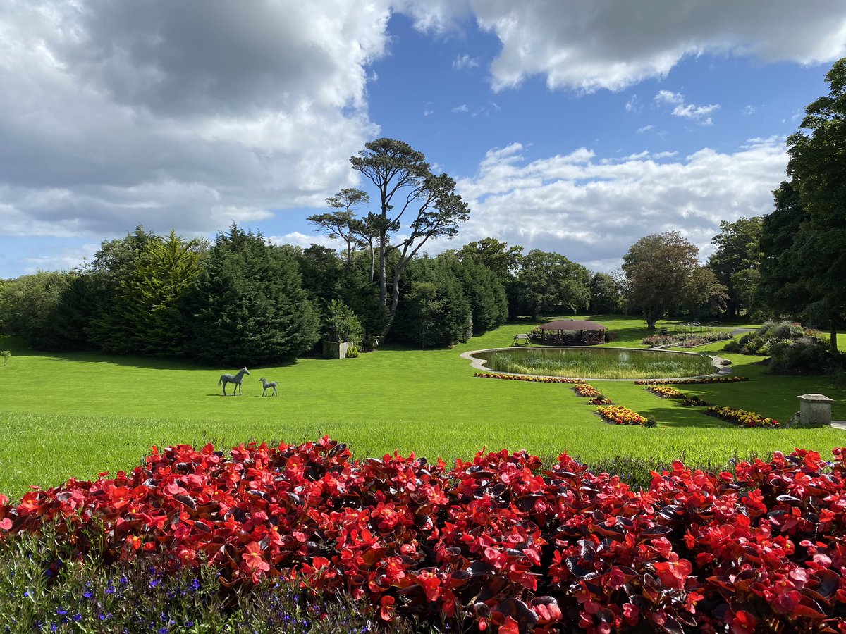 killalahouse's tweet photo. What a beautiful day 🌟🤩 https://t.co/9OCRnJ21GH