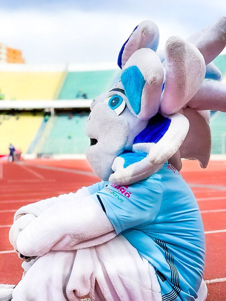 Bolivar_Oficial's tweet photo. Simón está listo ✔️⚽️
Nosotros estamos listos ✔️ ⚽️
¿Tú estás listo? 🤔

¡VAMOS BOLÍVAR! 💙

#BolívarSomosTodos https://t.co/3o1o1ke0El