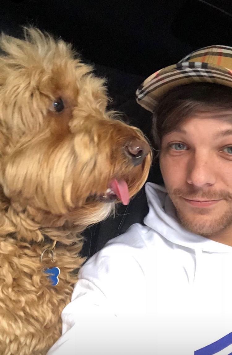 louis in white hoodies>>>