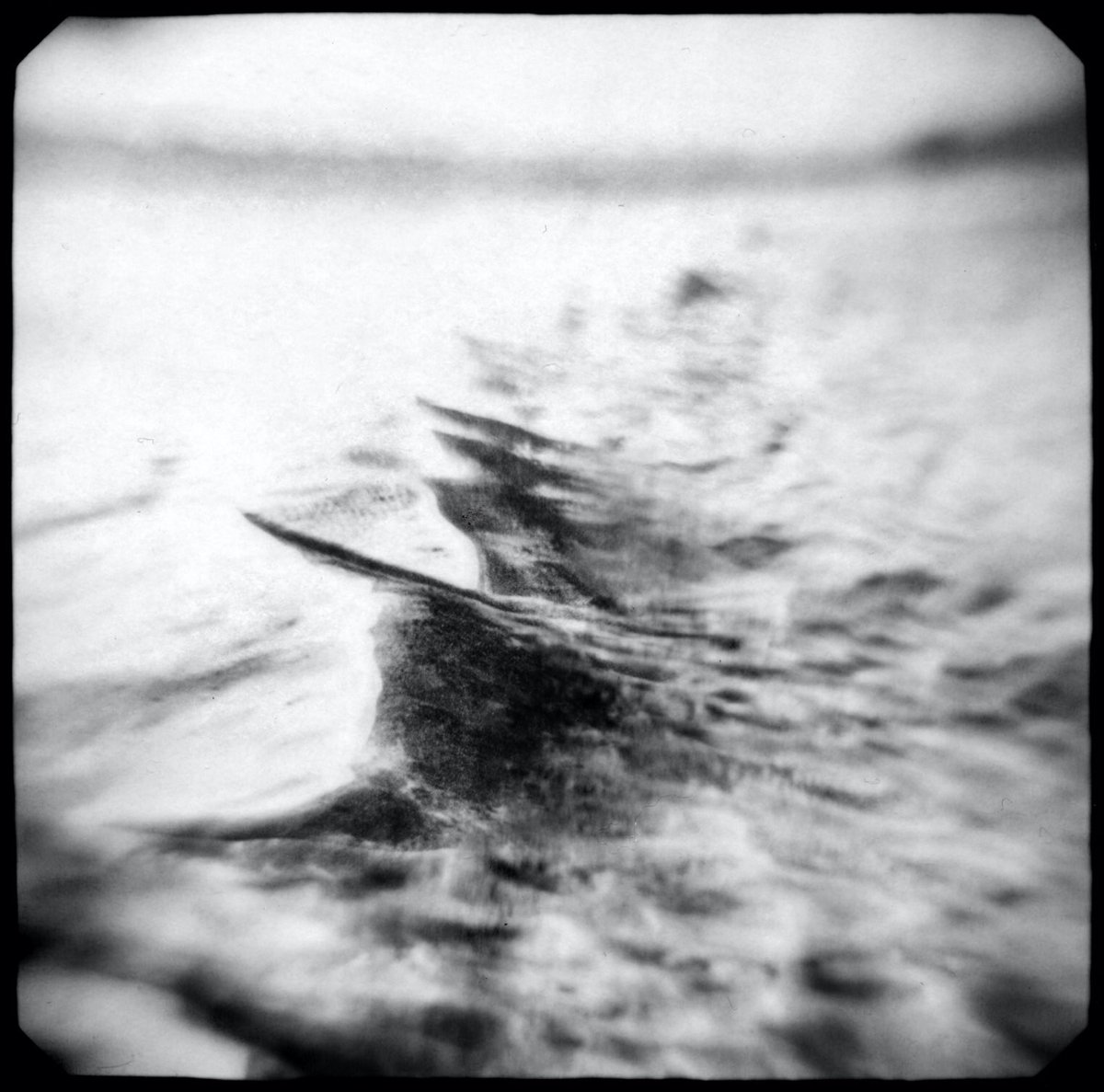 benprks's tweet photo. #mamiyarz67 @ILFORDPhoto #harmandirectpositive https://t.co/NboFWG12qV
