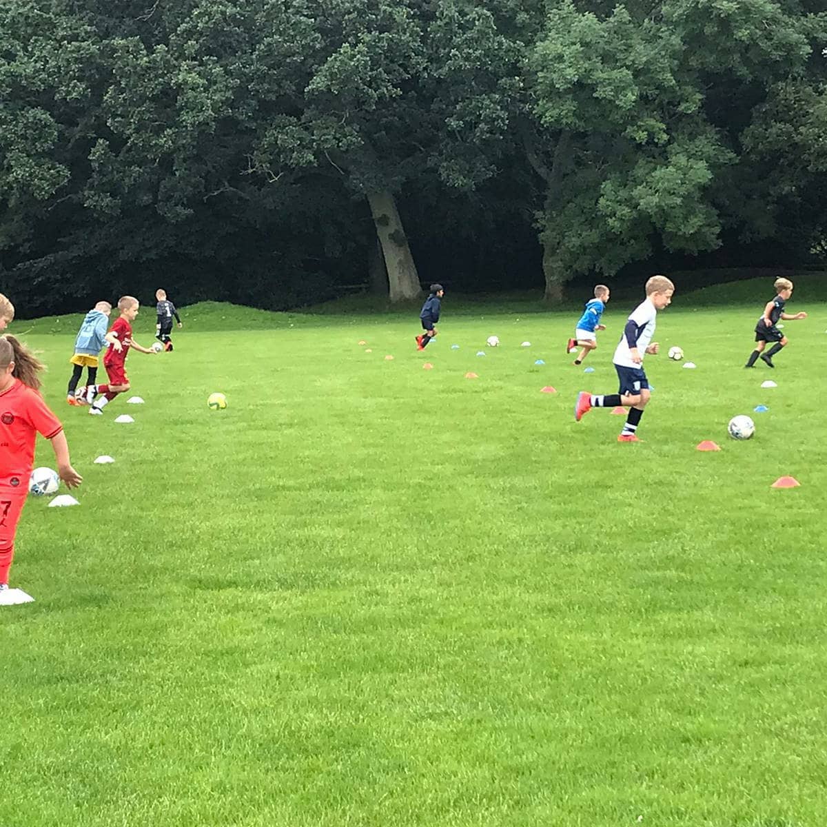 tealey87's tweet image. U7's had their first training session this morning down at Carr Lane.

Well done to all!!

⚽️🔴⚪⚽️🔴⚪⚽️🔴⚪⚽️🔴⚪⚽️🔴⚪⚽️