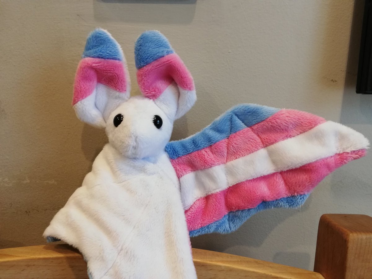 BananaSewing's tweet photo. #TransPride bat!!! I made the Pink body originally, and someone just commissioned a white bodied trans pride bat!! 

Pattern by @BeeZeeArt https://t.co/eHS3b0oEZD