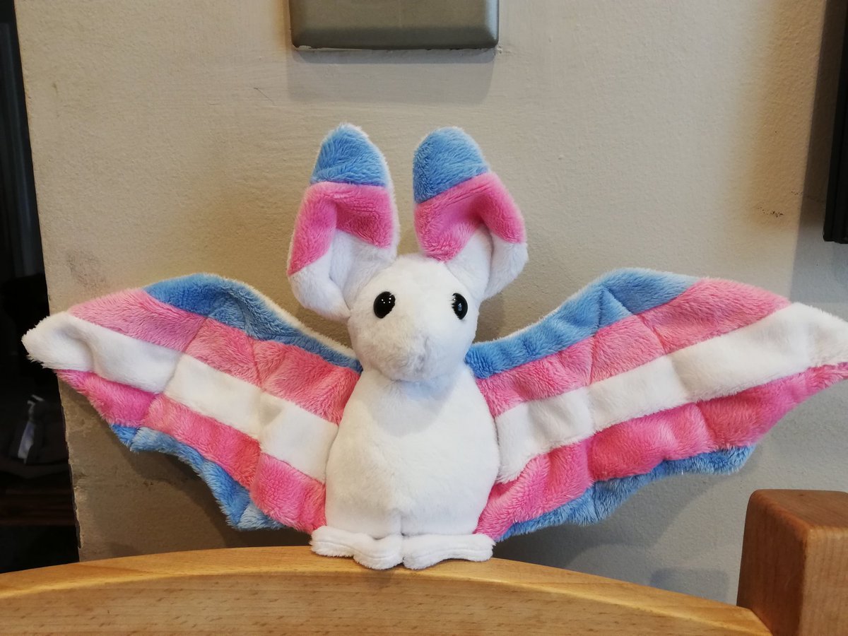 BananaSewing's tweet photo. #TransPride bat!!! I made the Pink body originally, and someone just commissioned a white bodied trans pride bat!! 

Pattern by @BeeZeeArt https://t.co/eHS3b0oEZD