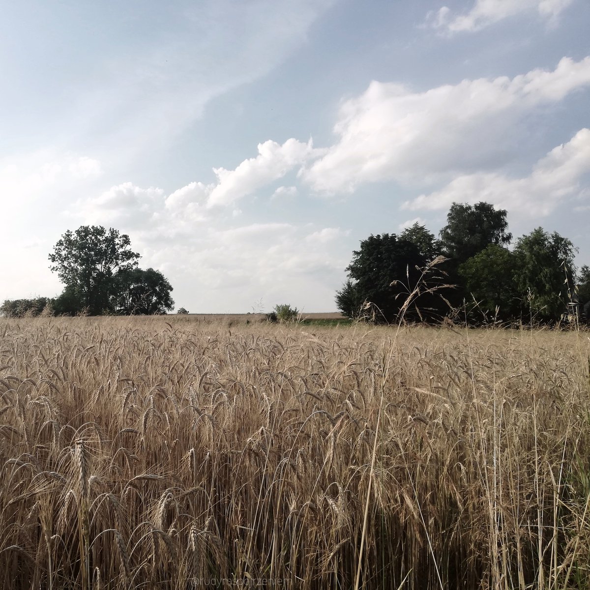 RudymOkiem's tweet photo. Spokój i cisza ! @igersPoland #wgorach #sundayvibes https://t.co/Cdaa5JZ7BC