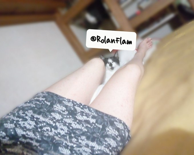 Me compr&eacute; ese vestido de flores por m&iacute; cumplea&ntilde;os, siento que est&aacute; linda &iquest;Qu&eacute; dicen chicos(as)? https://t<a href="/tag/trap"class="tags"><span>#trap</span></a><a href="/tag/crossdresser"class="tags"><span>#crossdresser</span></a><a href="/tag/trapboy"class="tags"><span>#trapboy</span></a>