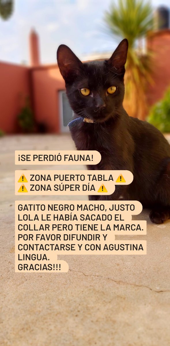 aguslingua's tweet photo. ⚠️🙏⚠️🙏 https://t.co/CGWdr34de8