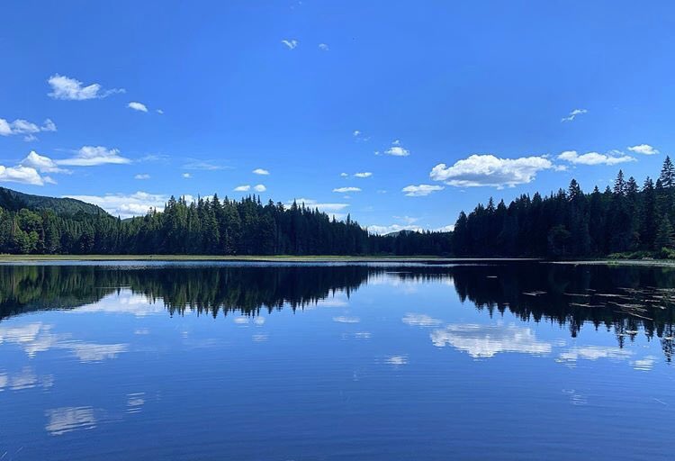 It’s a mirror morning peeps💦😎
Happy Sunday everyone❤️
#LoveLakeSup #WhatSupLove 
#weekendlife #lakebum #aquaholic #paddleformiles #liveLoveSurf