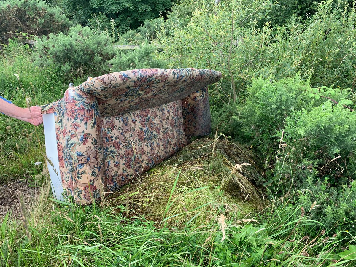 Valacox's tweet photo. Do you recognize this sofa? The owner can reclaim in the undergrowth on the R772 near Scratnagh Cross. Does anyone recognize it? It’d be great to reunite it with its owner. https://t.co/C19GGwS0p2