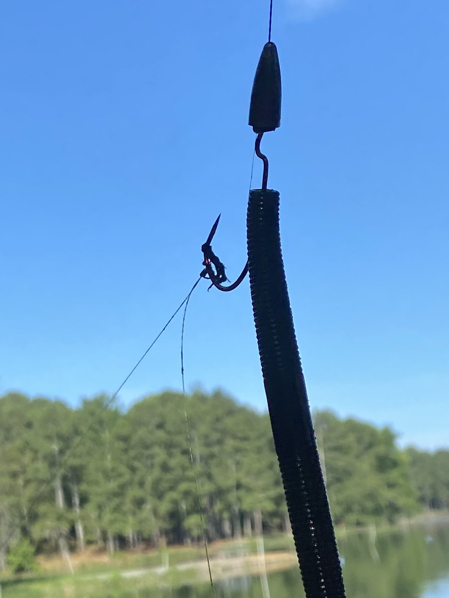 BamaBass's tweet photo. When you feel a tug, ya set the hook and it pulls back you get excited for a few seconds till you realize you’ve snagged someone’s line... #hooksetsarefree #biggun https://t.co/lXbTk2fWPw