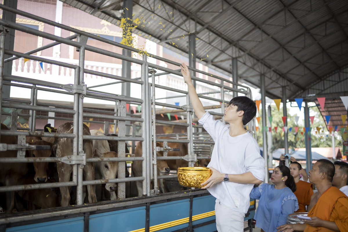prayasuren109's tweet photo. #พิธีถวายยกฉัตรทองเก้าชั้น 
          คุณหมากปริญ สุภารัตน์ ในฐานะที่เคยอาศัยใต้ชายคาอุโบสถวัดพระยาสุเรนทร์ ภายใต้��ลักธรรมคำสอนของพระศาสดา เพื่อสืบทอดพระศาสนา จึงเป็นเนื้อนาบุญนำเหล่าเพื่อนๆ และผู้จัดการ มาร่วมทำบุญครั้งใหญ่ในช่วงเข้าพรรษา https://t.co/1Lrjv5jwVp